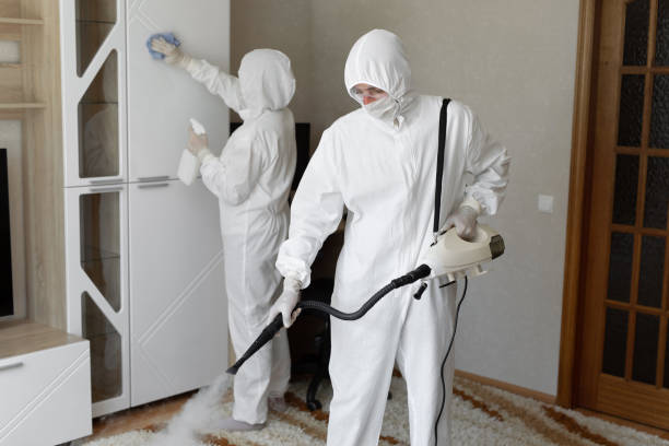 Best Office Mold Removal Services  in Van Meter, IA